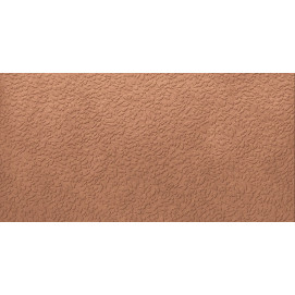 Argillae AP Coral Rect Anti-slip 60x120cm.