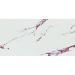 Acheter des carreaux de bain. Tuiles de qualité