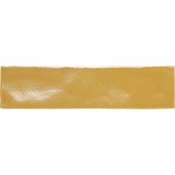 Dynamic Ape collection. Tiles | Free sample