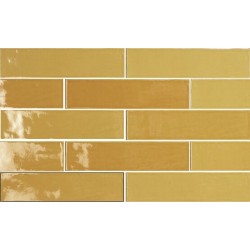 Dynamic Ape collection. Tiles | Free sample