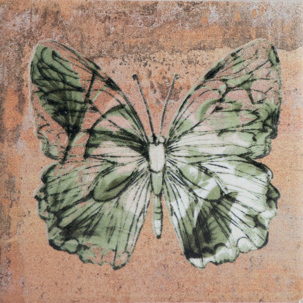 Combinación del producto