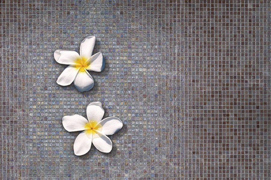Mosaicos 31,6x31,6 efecto Monocolor Mosavit