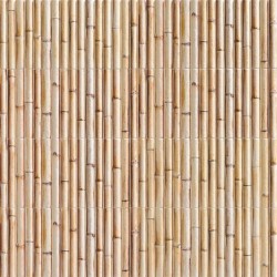 Bamboo de Mainzu efecto decorativos | Compra 100% segura