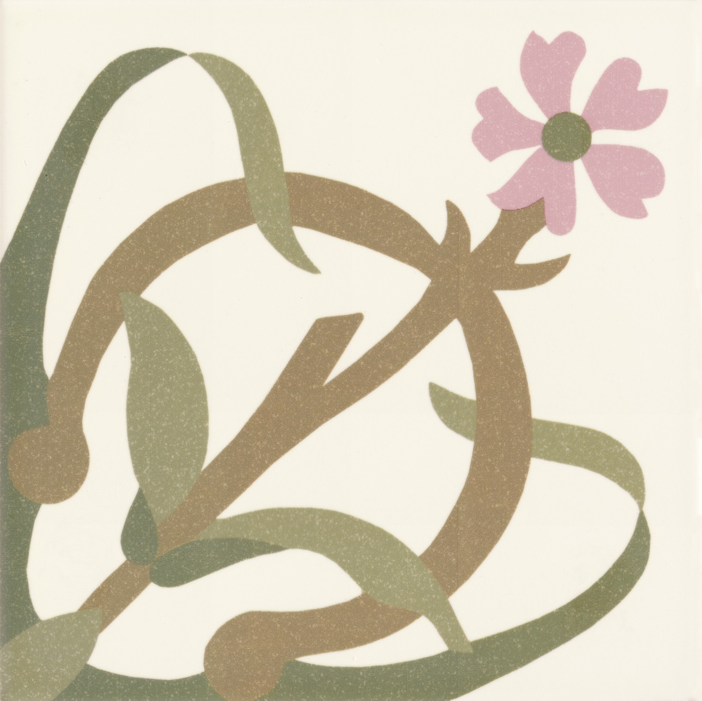 Combinación del producto