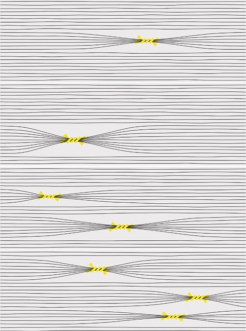 Combinación del producto