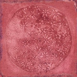 Luca de Vives efecto Monocolor | Compra 100% segura