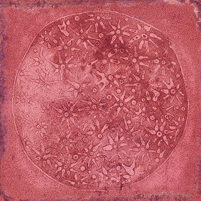 Combinación del producto