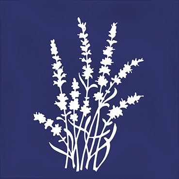 Combinación del producto