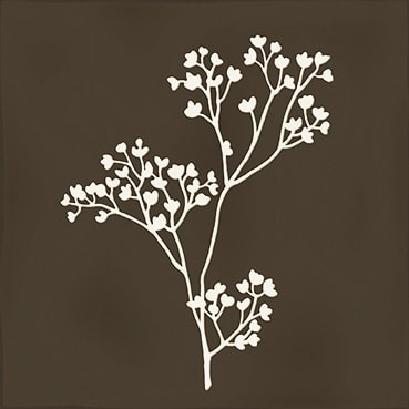 Combinación del producto