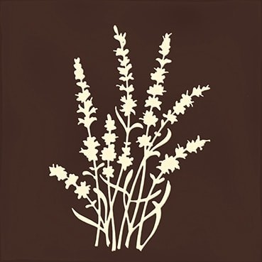 Combinación del producto