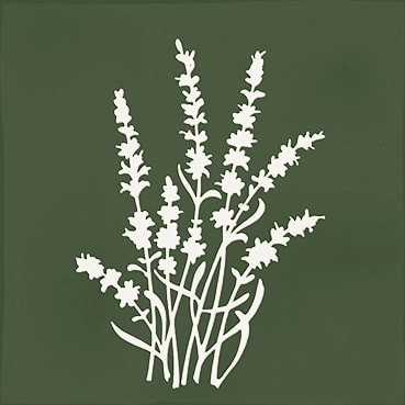 Combinación del producto