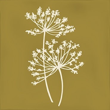 Combinación del producto