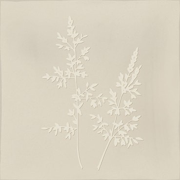 Combinación del producto