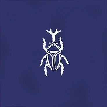 Combinación del producto