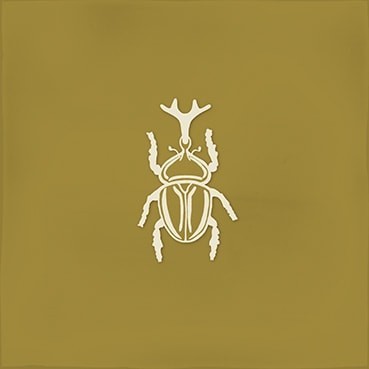 Combinación del producto