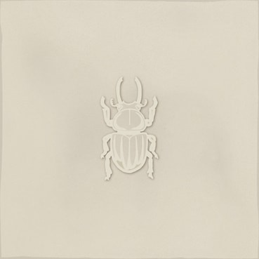 Combinación del producto